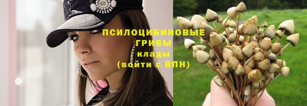 синтетический гашиш Армянск