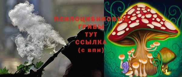 гашик Арсеньев