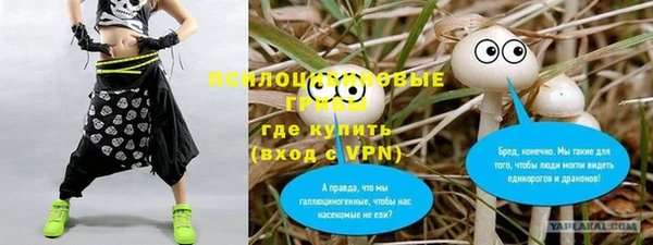 гашик Арсеньев