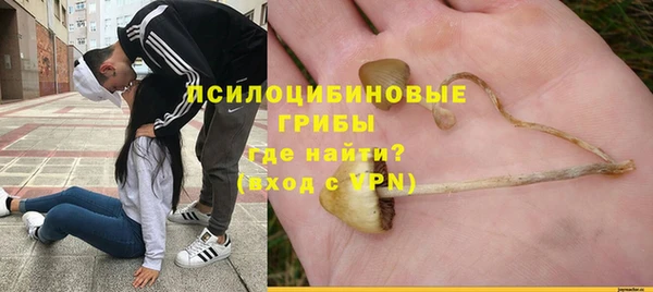 гашик Арсеньев