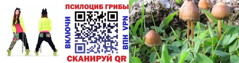 Псилоцибиновые грибы Magic Shrooms  цена   MEGA как зайти  Змеиногорск 